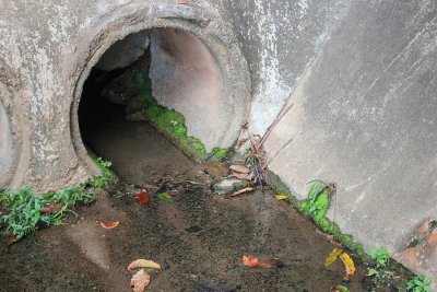 Drainage correction & repair in San Antonio, TX