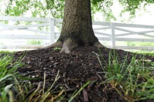 Deep Root Barrier Systems installation in San Antonio, TX